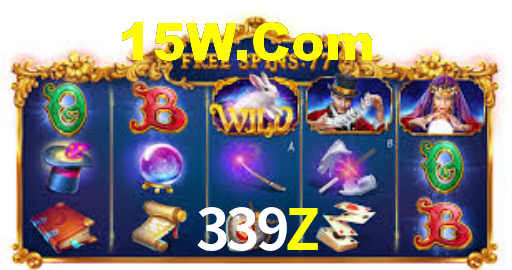 339z.com